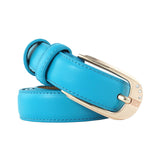 Pin buckle belts