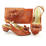 2021 Arican New Arrival Speical Narrow Band and Cross-tied Style Italian Design Ladies Shoes and Bag Set in Pink Color for Party